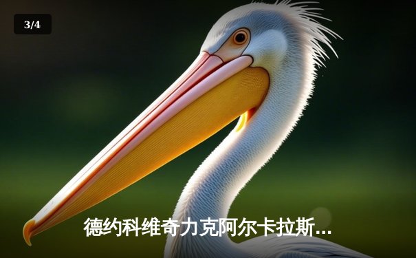 德约科维奇力克阿尔卡拉斯，第24座大满贯加冕温网巅峰对决 - 3